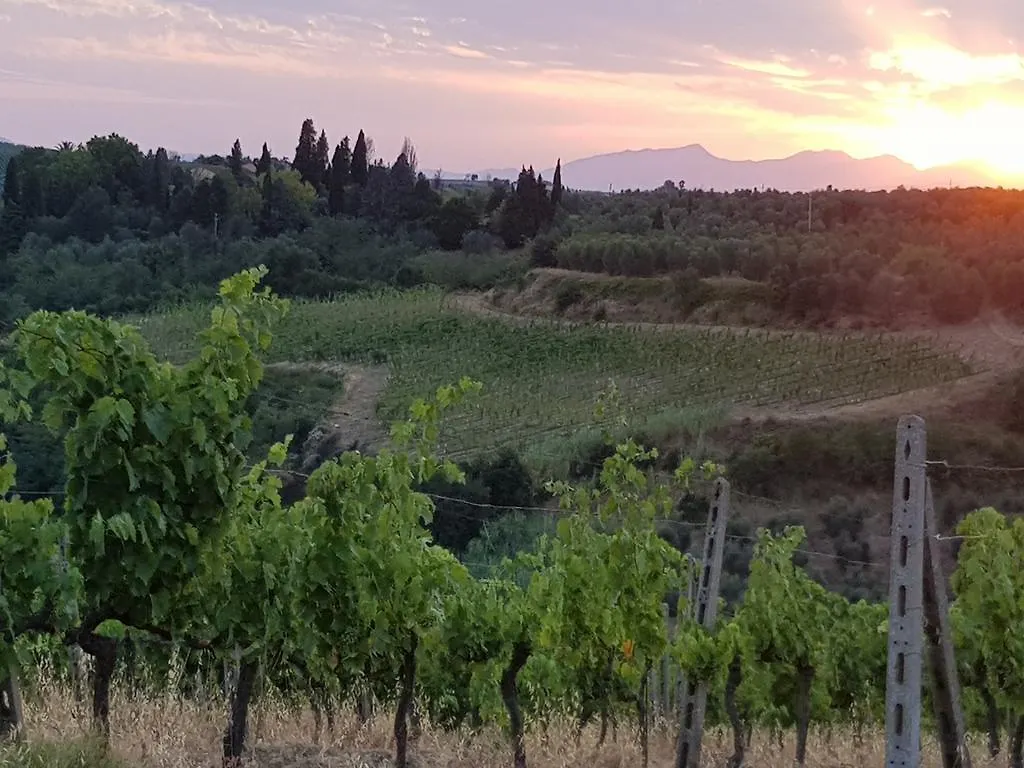 Agriturismo Podere Casalone Limite Agroturismo